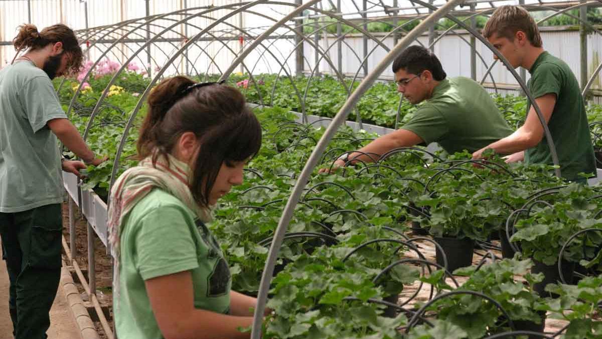 Clase práctica de un ciclo formativo de jardinería.