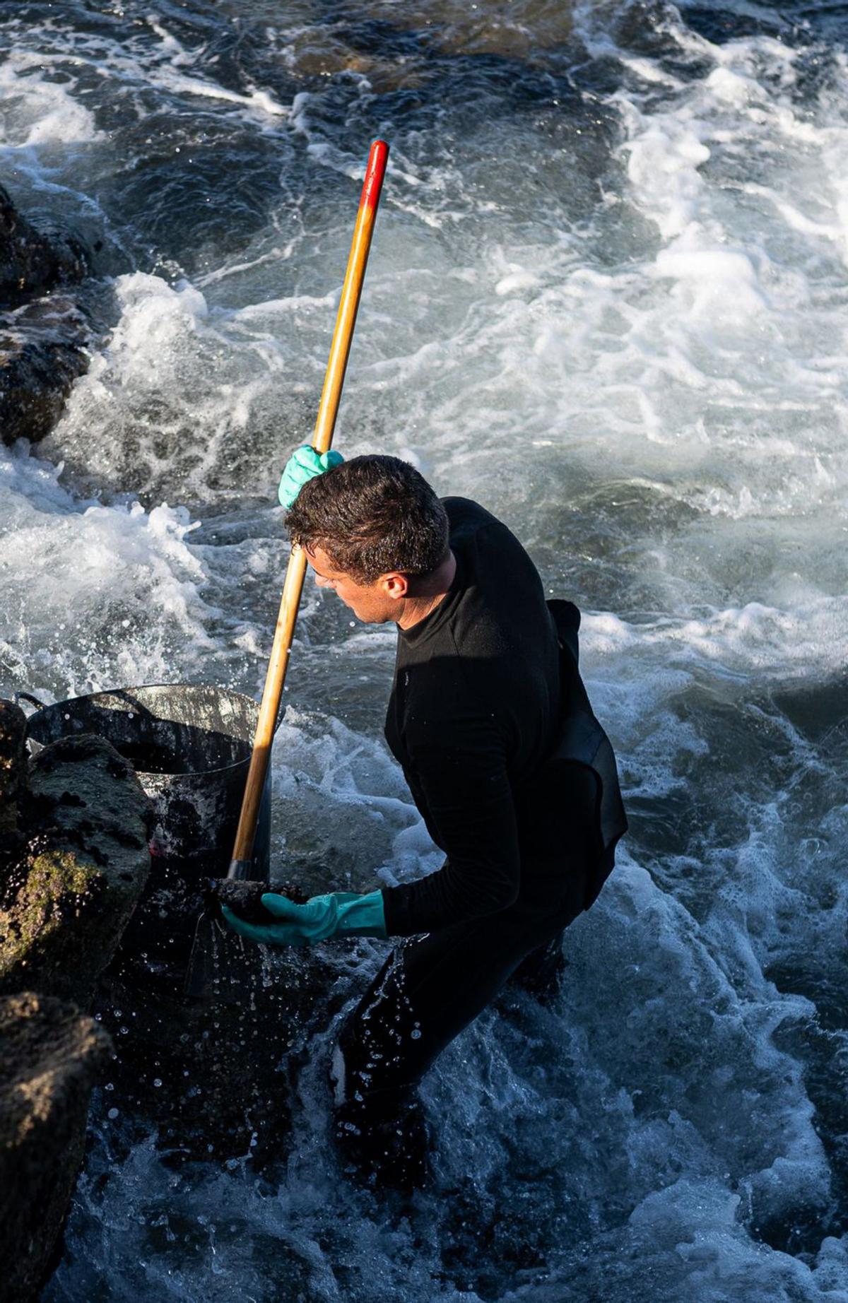 Bateeiros gallegos recogiendo mejilla (cría del mejillón) en las rocas más batidas del litoral atlántico.  | FOTOS: ELENA FERNÁNDEZ