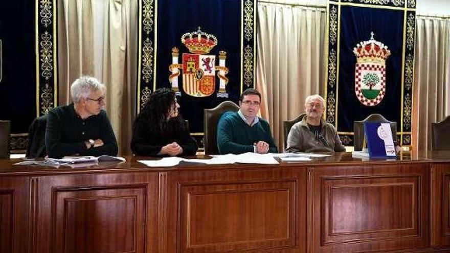 Presentación del proyecto, en el salón de plenos de A Cañiza. // D.P.