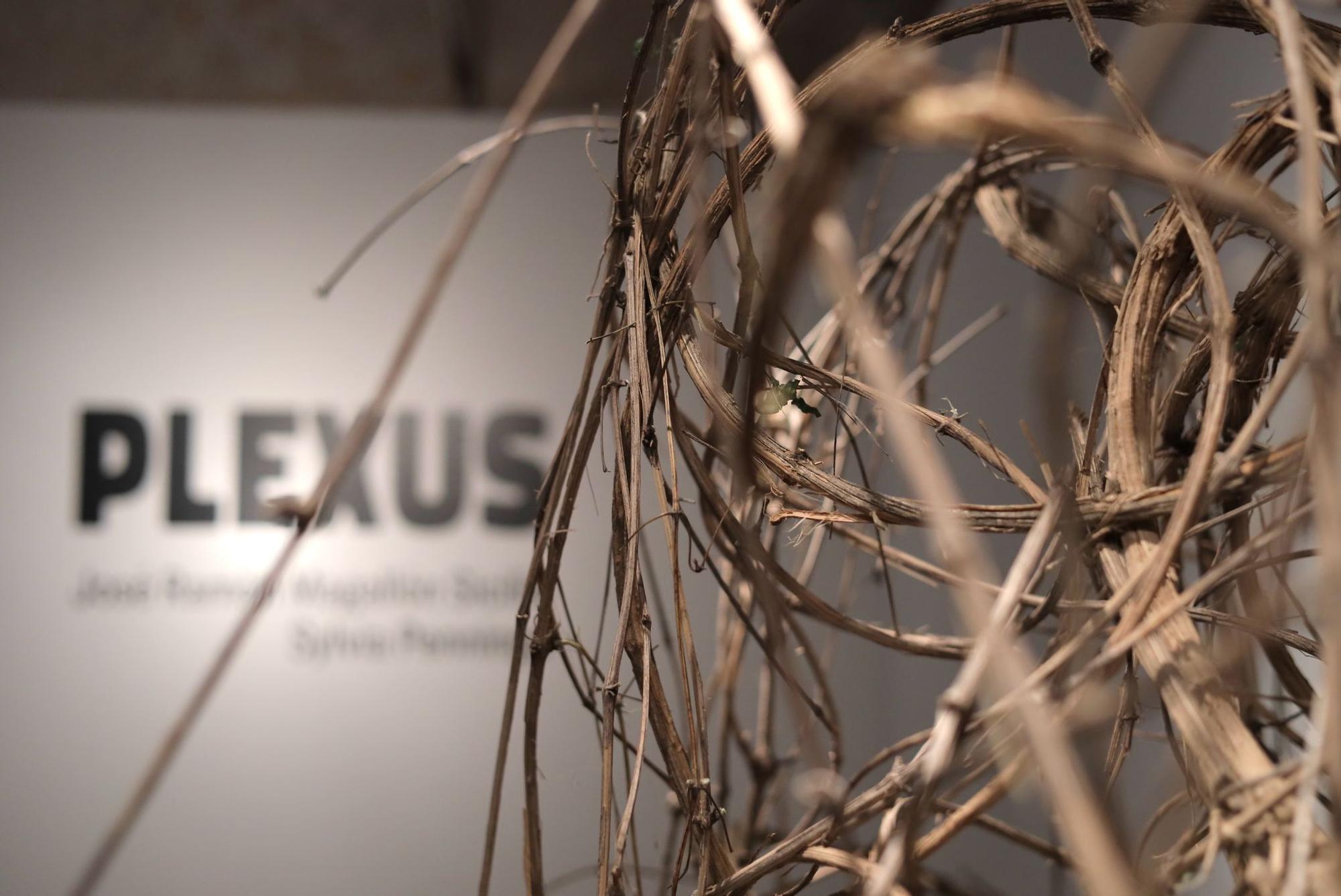 En imágenes | Así es la exposición 'Plexus' en la Casa de los Morlanes