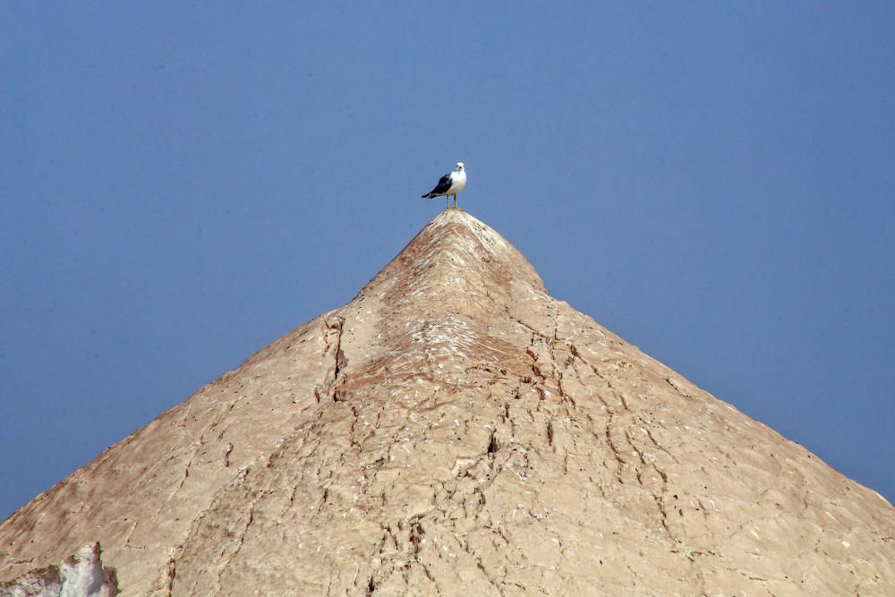 Grupo Salins ha puesto en marcha los itinerarios turísticos al interior de la salinera esta semana