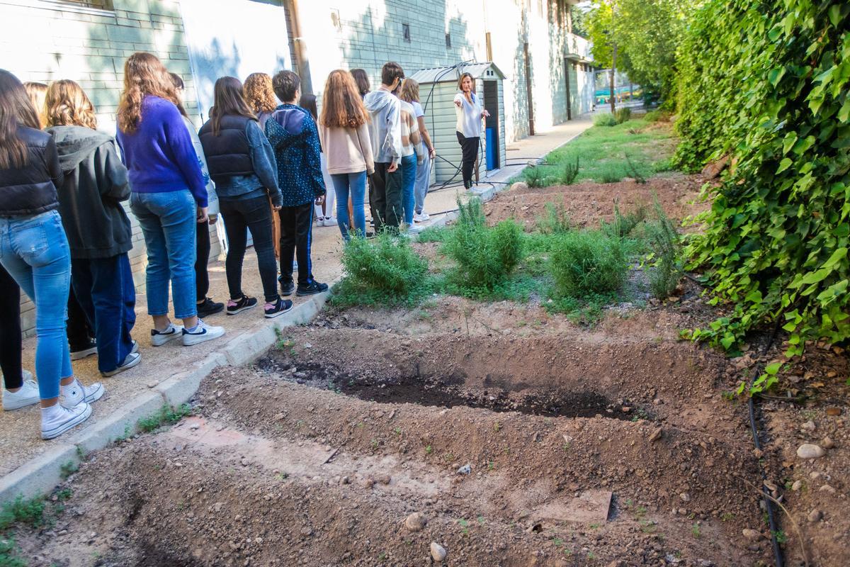 Un instituto «eco friendly» en Elche