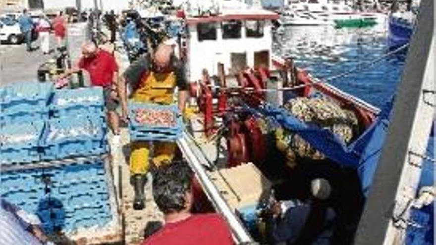 Pescadors de Palamós carreguen les captures per portar-les a la llotja.