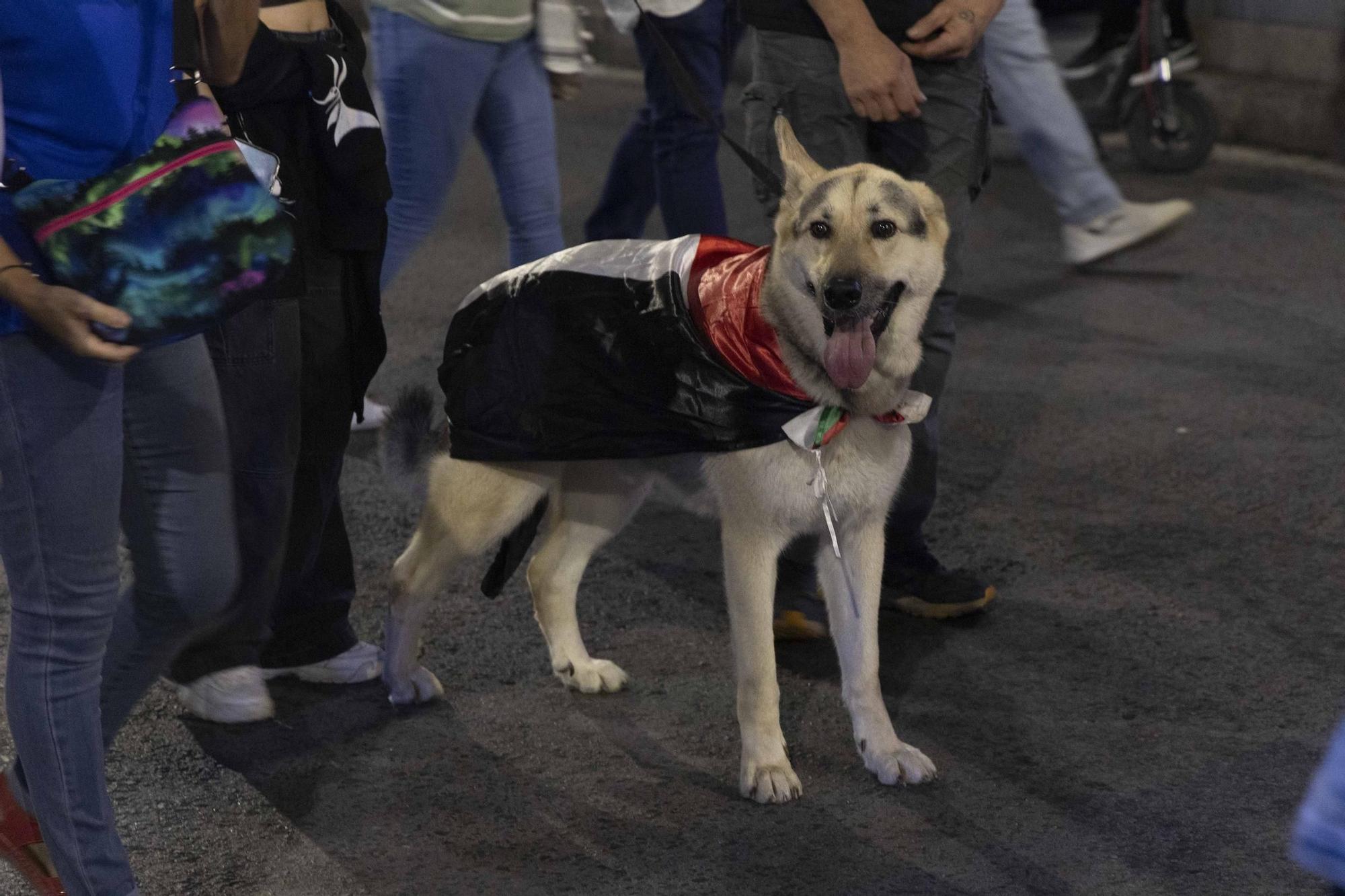 Alicante alza la voz por Palestina en una jornada de movilizaciones
