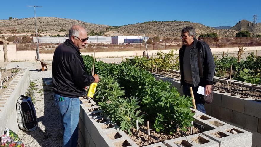 El concejal con uno de los parcelista en el huerto adaptado