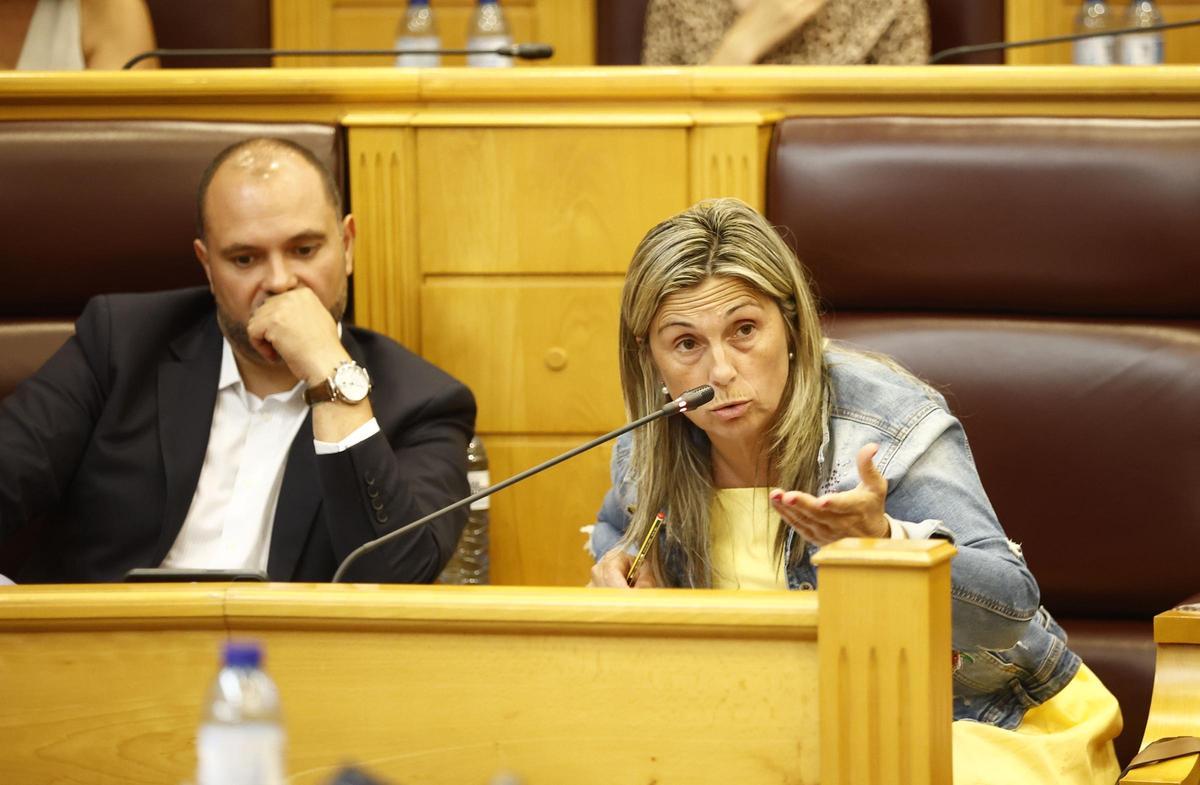 A alcaldesa de Vimianzo e deputada provincial Mónica Rodríguez, durante a súa intervención no pleno da Deputación.