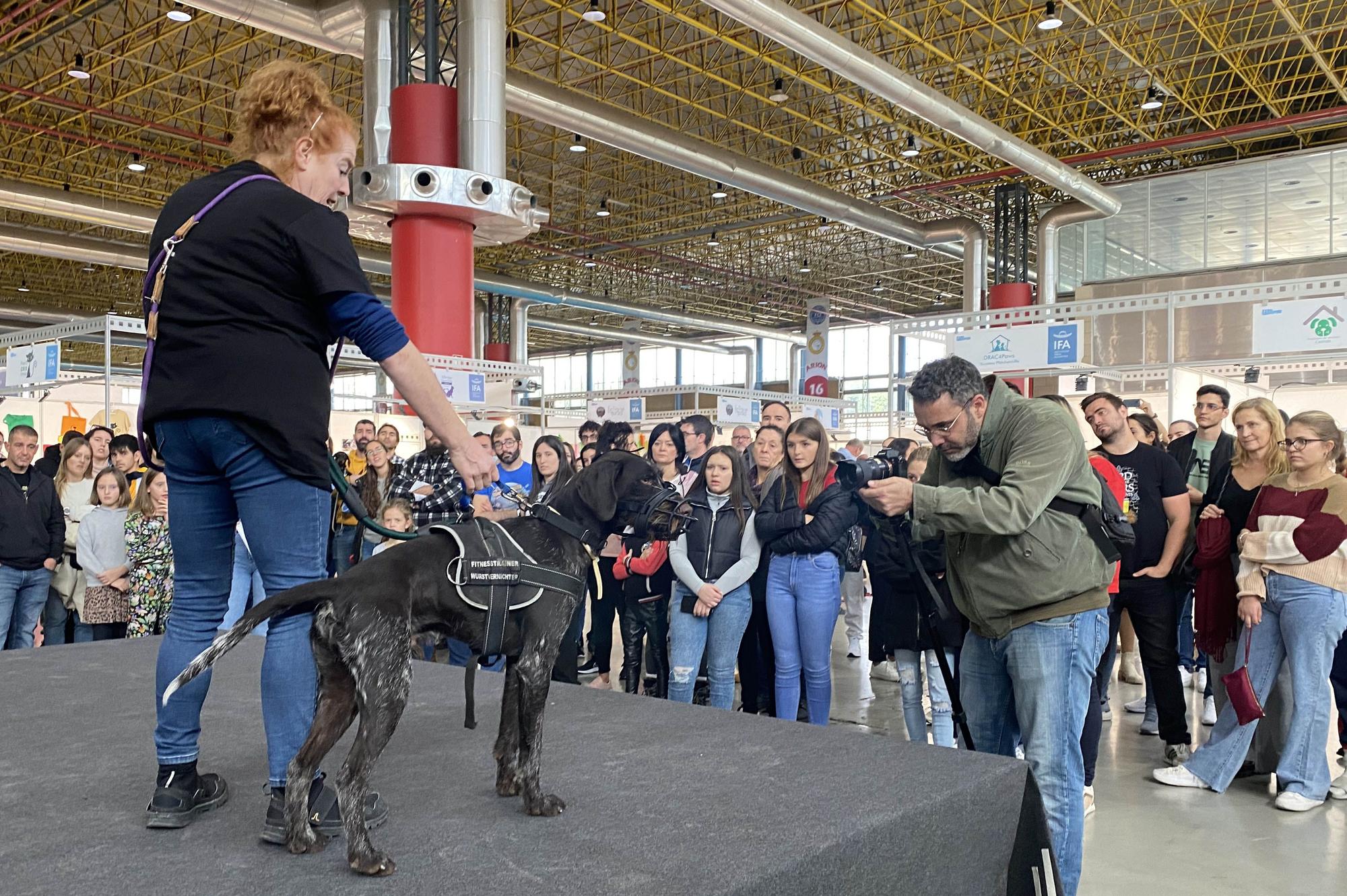 Amor por los animales en IFA