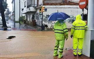 Adjudican las obras para encauzar un arroyo en Campanillas