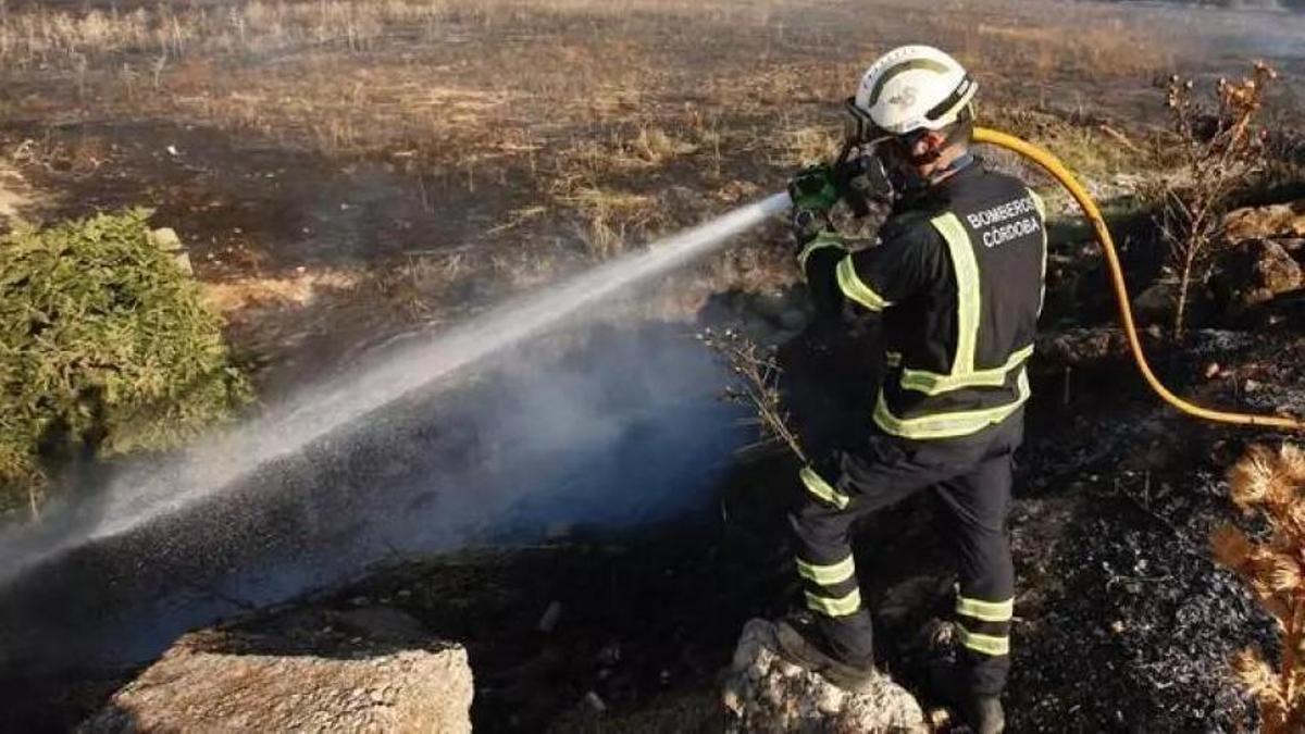 Los bomberos apagan un incendio de pastos en una imagen de archivo.