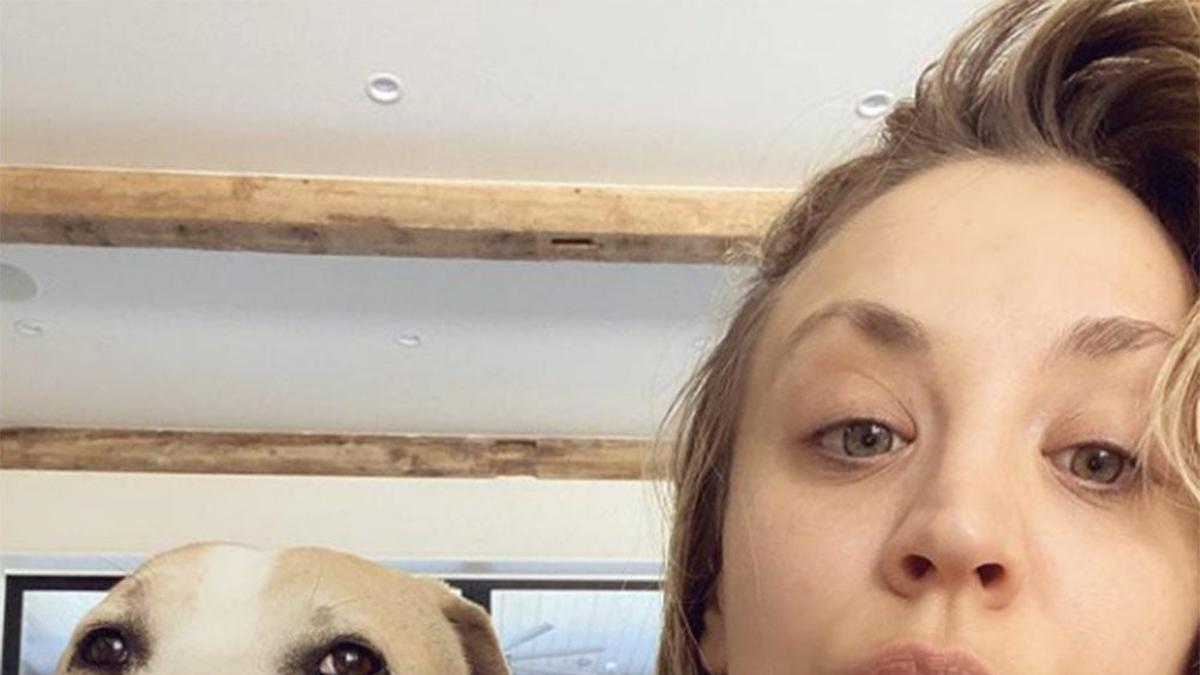 Kaley Cuoco llora la triste pérdida de su perro Norman