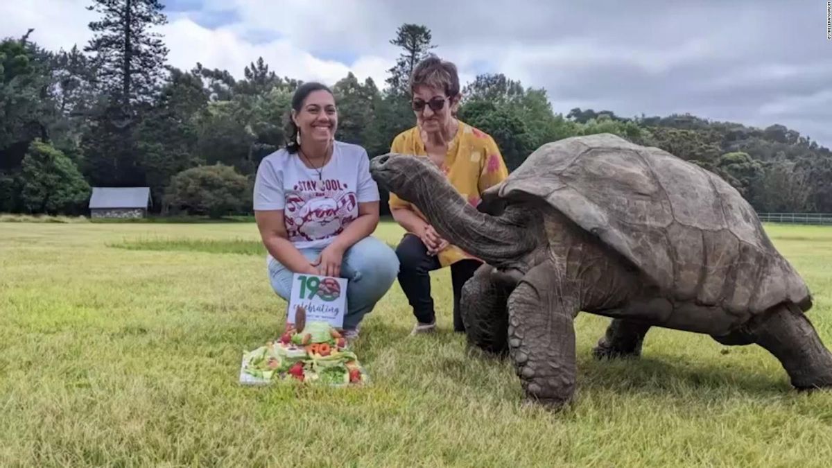 La tortuga Jonathan, junto a dos turistas, cuando cumplió 190 años