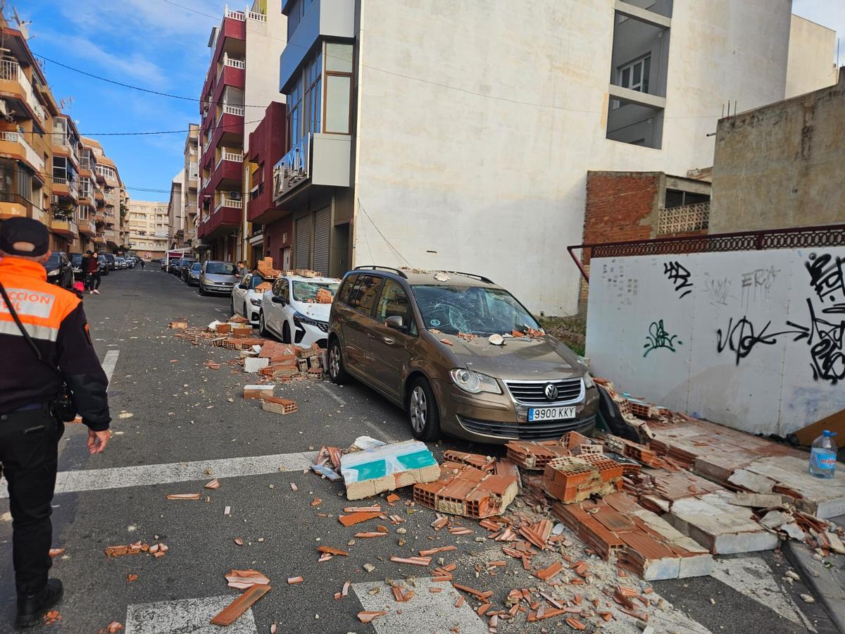 Árboles, muros y vallas derribados por el vendaval de la borrasca "Kristin" en Torrevieja Árboles, muros y vallas derribados por el vendaval de la borrasca "Kristin" en Torrevieja