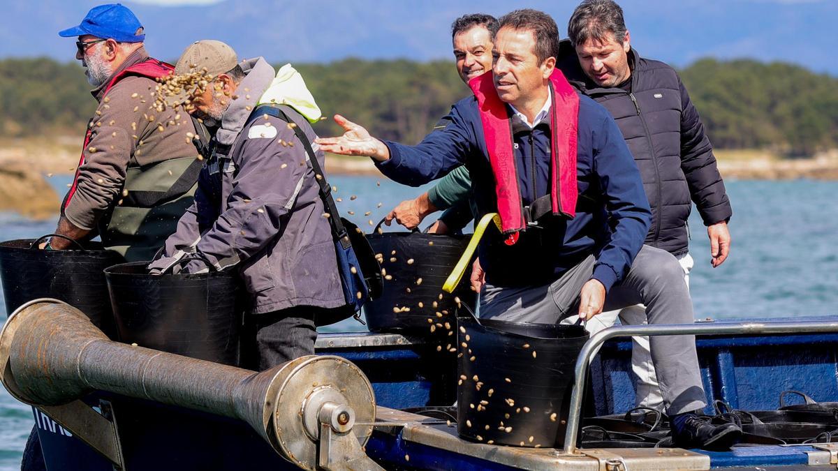 La siembra de almeja protagonizada ayer por el conselleriro Alfonso Villares.