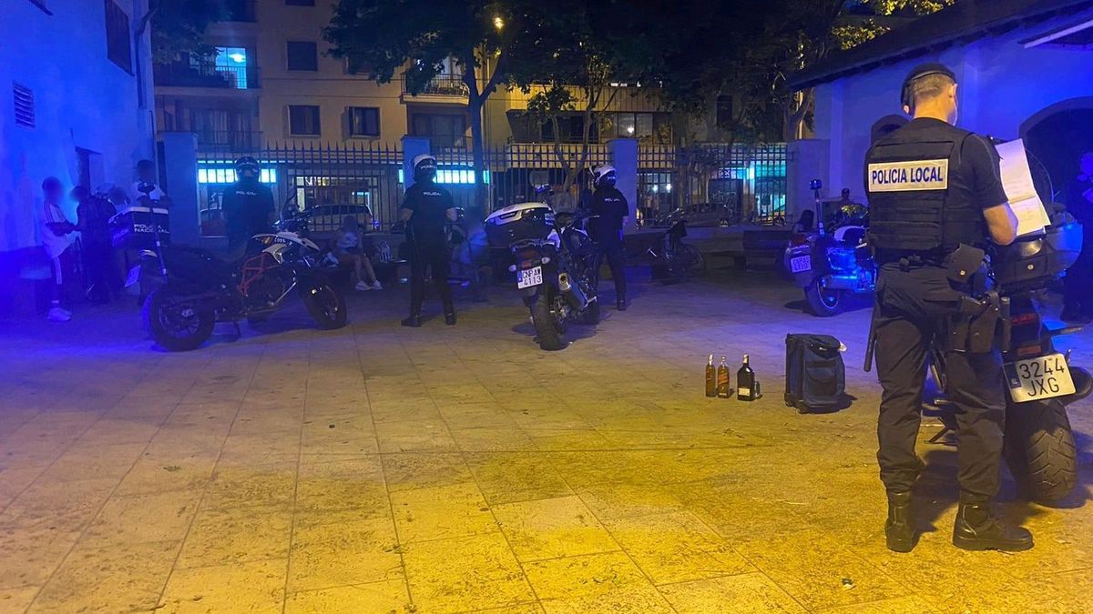 Agentes de la Policía Local, durante un control en Palma.