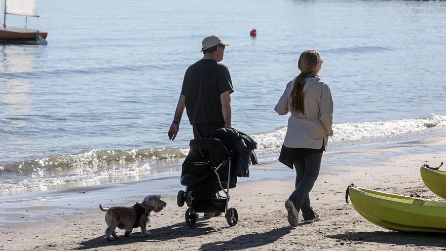 Unos perros &quot;infractores&quot; en la playa de San Juan de Alicante