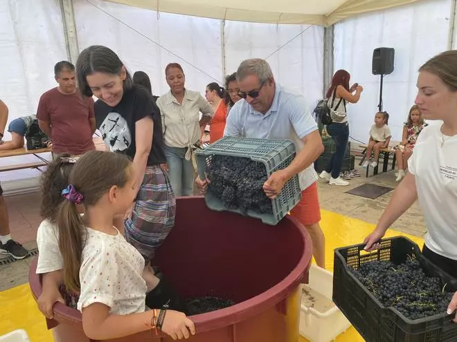 Talleres de cuajada y pisada de uva, protagonistas de la Feria de Septiembre en Benavente
