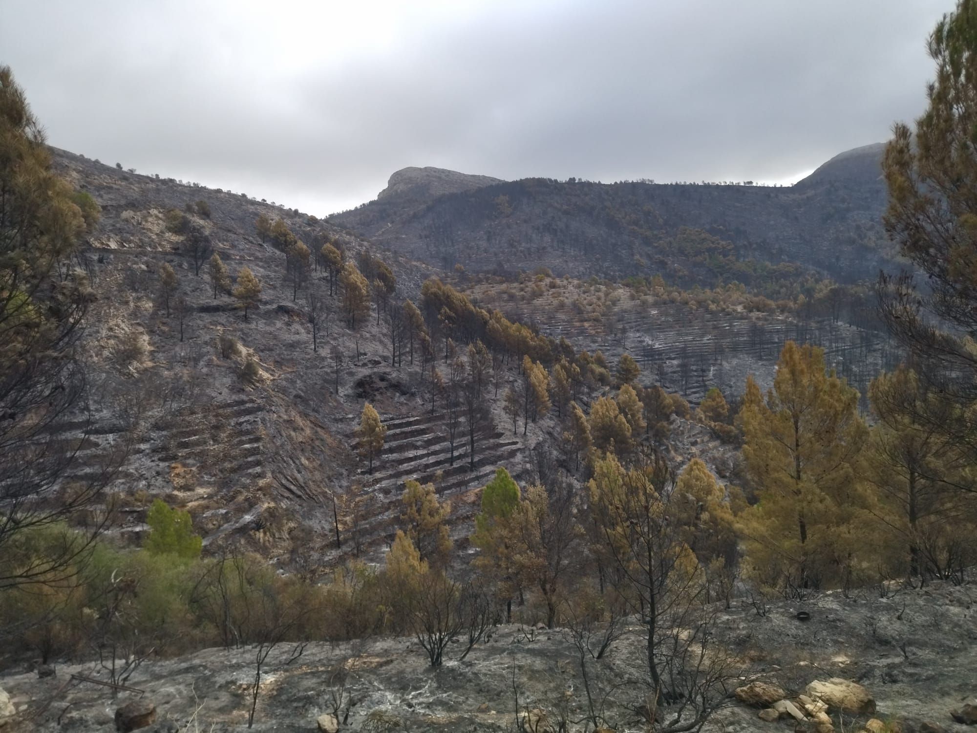 La destrucción del incendio de Tàrbena, en imágenes