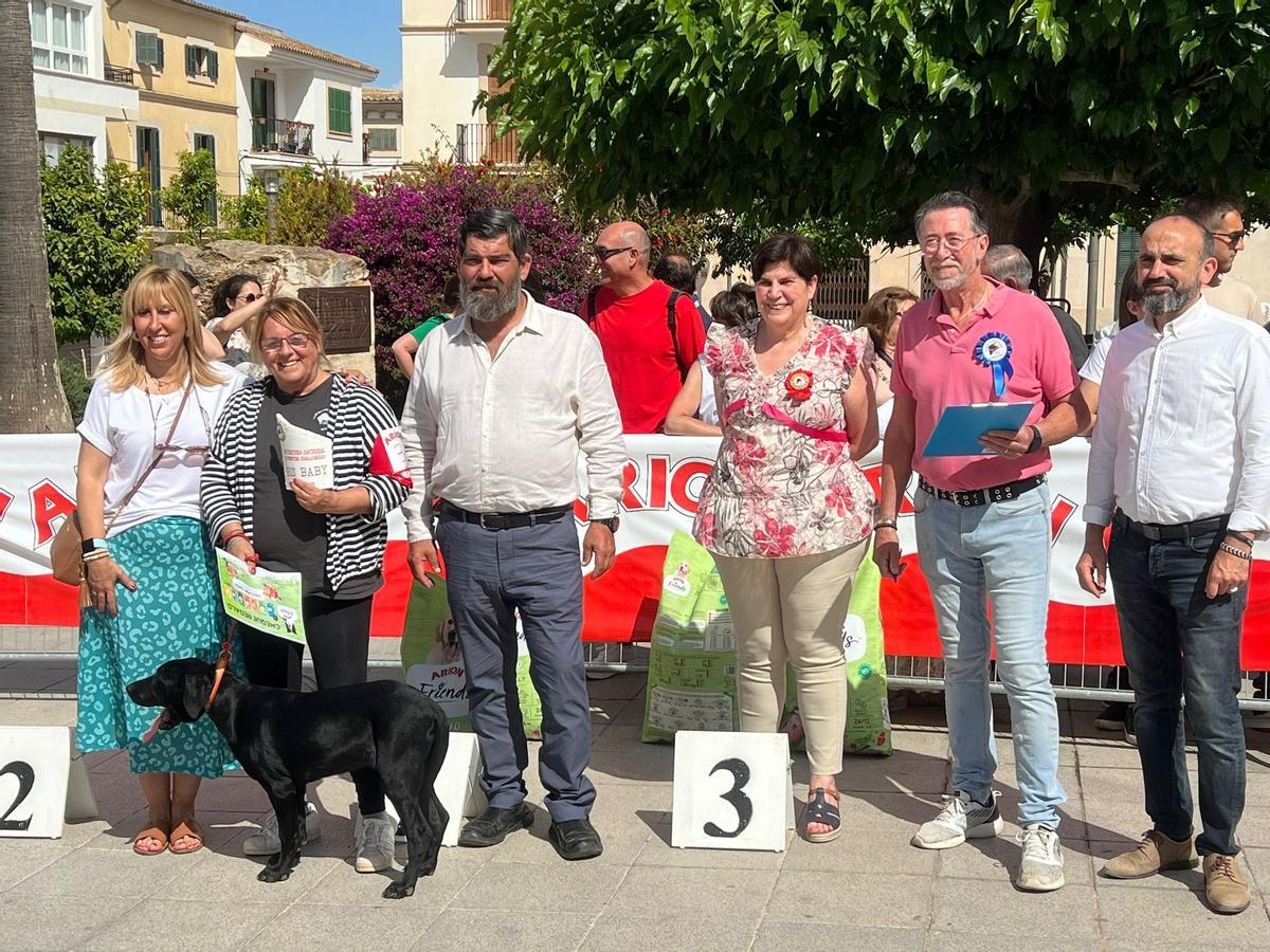 FOTOS | Las ferias de este domingo en distintos pueblos de Mallorca, en imágenes