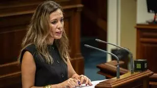 La consejera de Turismo rechaza "saquear" a los canarios con una tasa turística