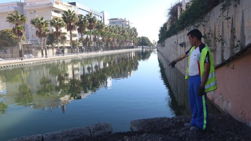 El cadáver fue encontrado en el lago del Parque del Oeste.