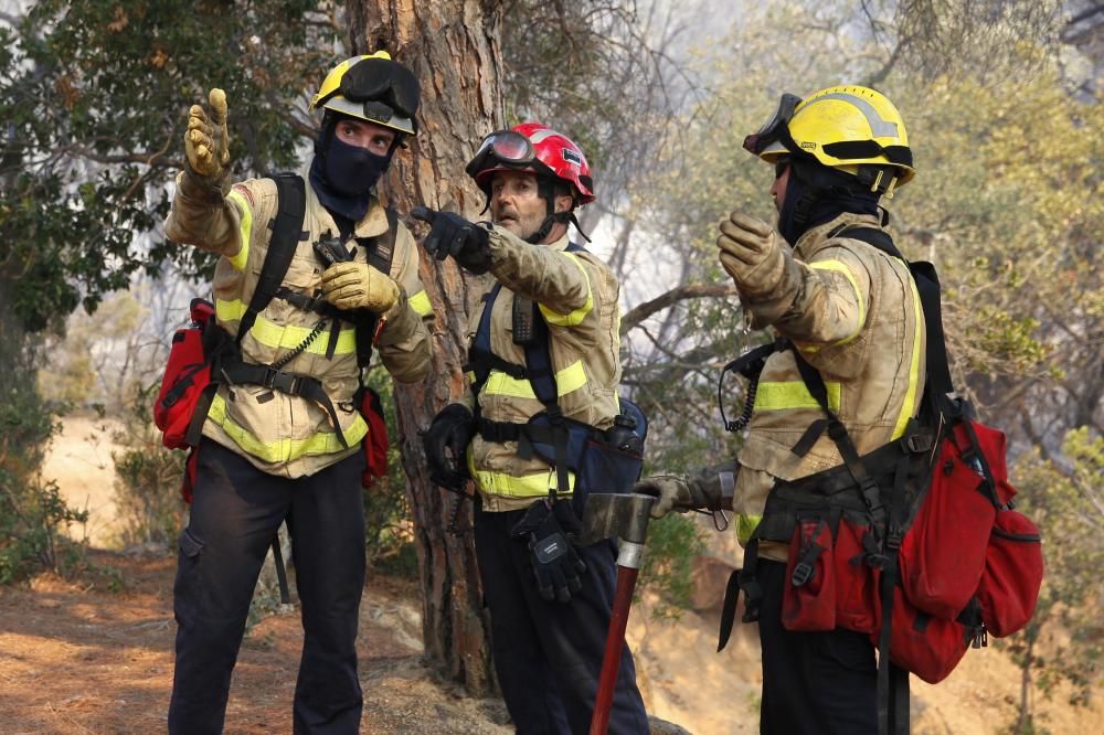 Incendi forestal a Blanes