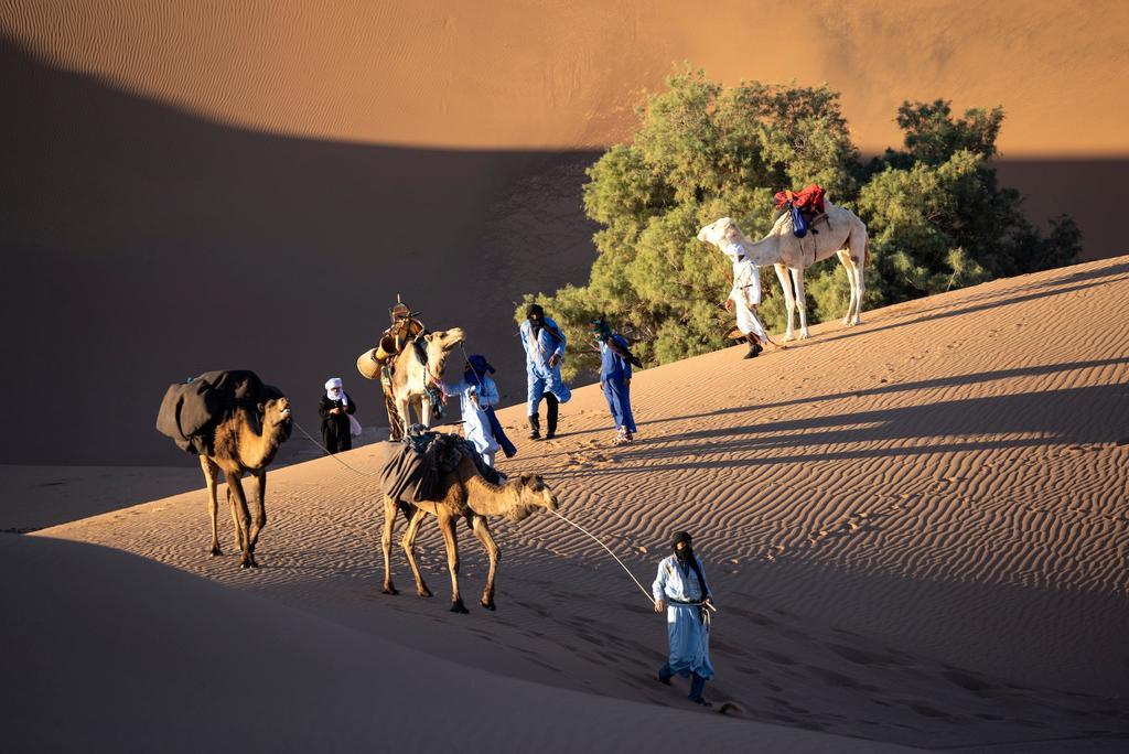 La presencia de árboles y arbustos en el desierto depende de las lluvias.