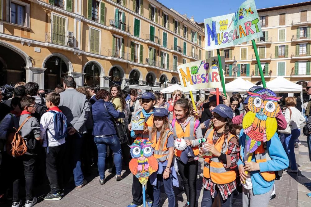 Los jóvenes emprendedores toman Palma