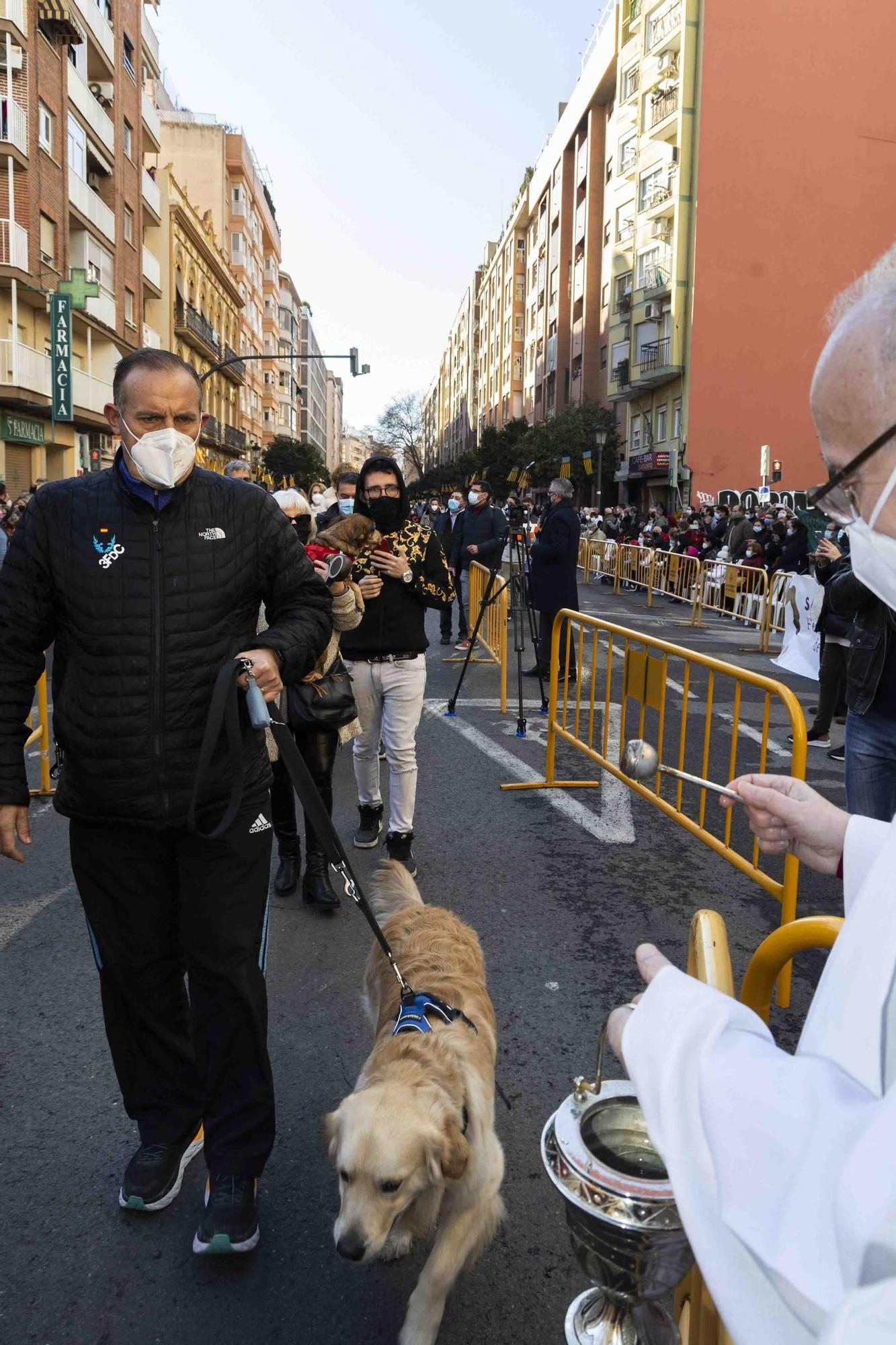 Búscate en la bendición de animales de Sant Antoni