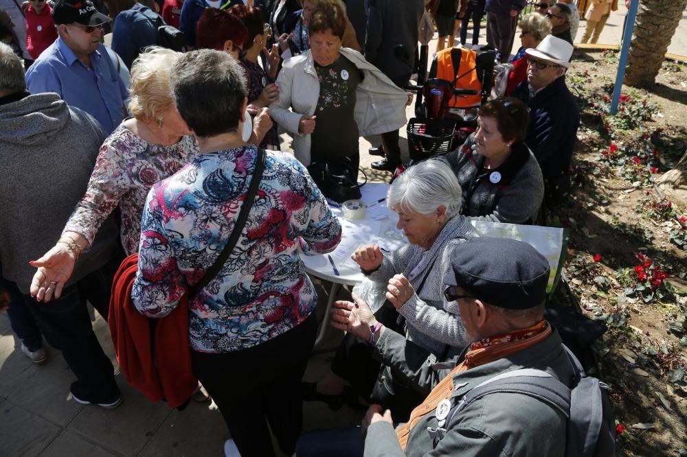 Los pensionistas se manifiestan en Torrevieja