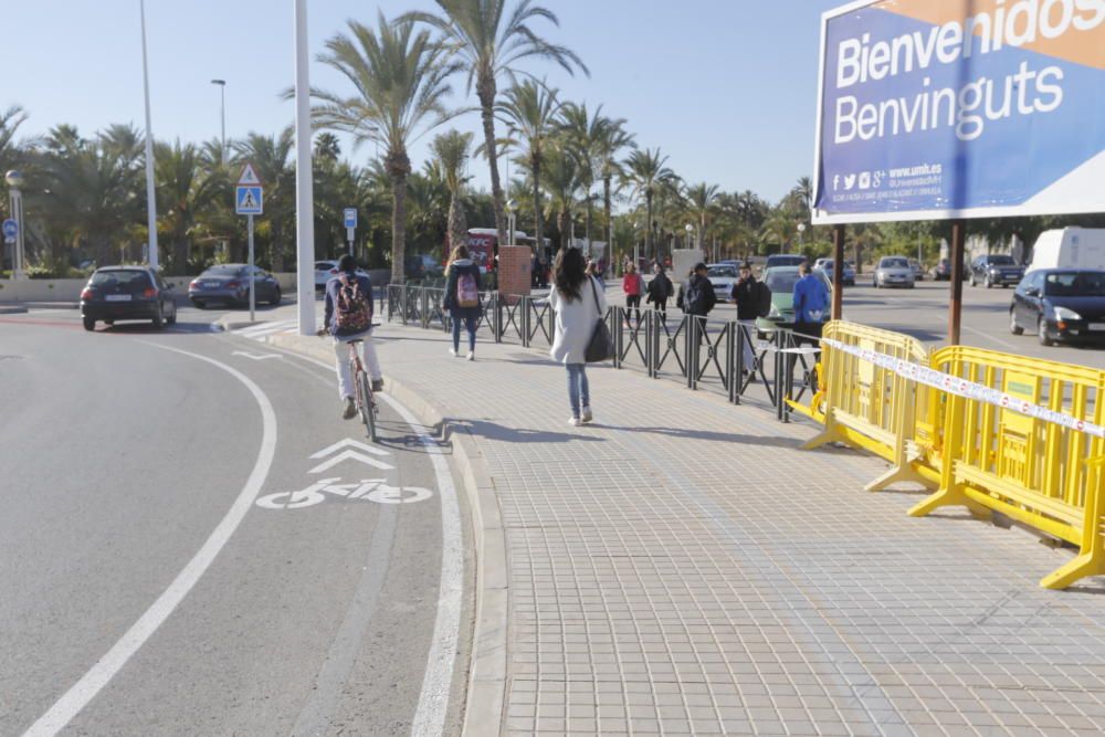 Así está el nuevo carril bici de Elche