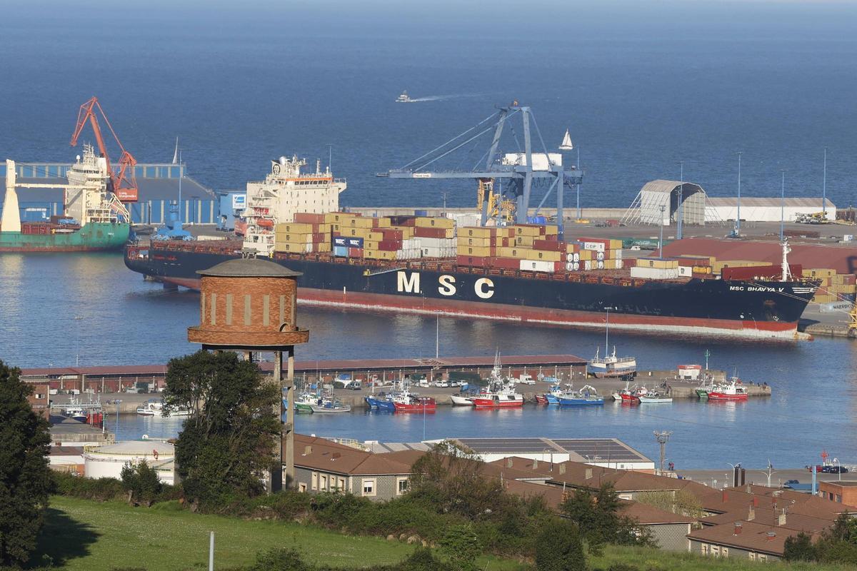 El portacontenedores "MSC Bhavya V" atracado ayer en la terminal de contenedores de El Musel.