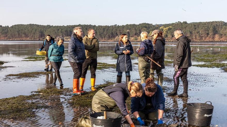 La Consellería de Mar teme a la casilla de salida y toma el pulso al marisqueo banco a banco