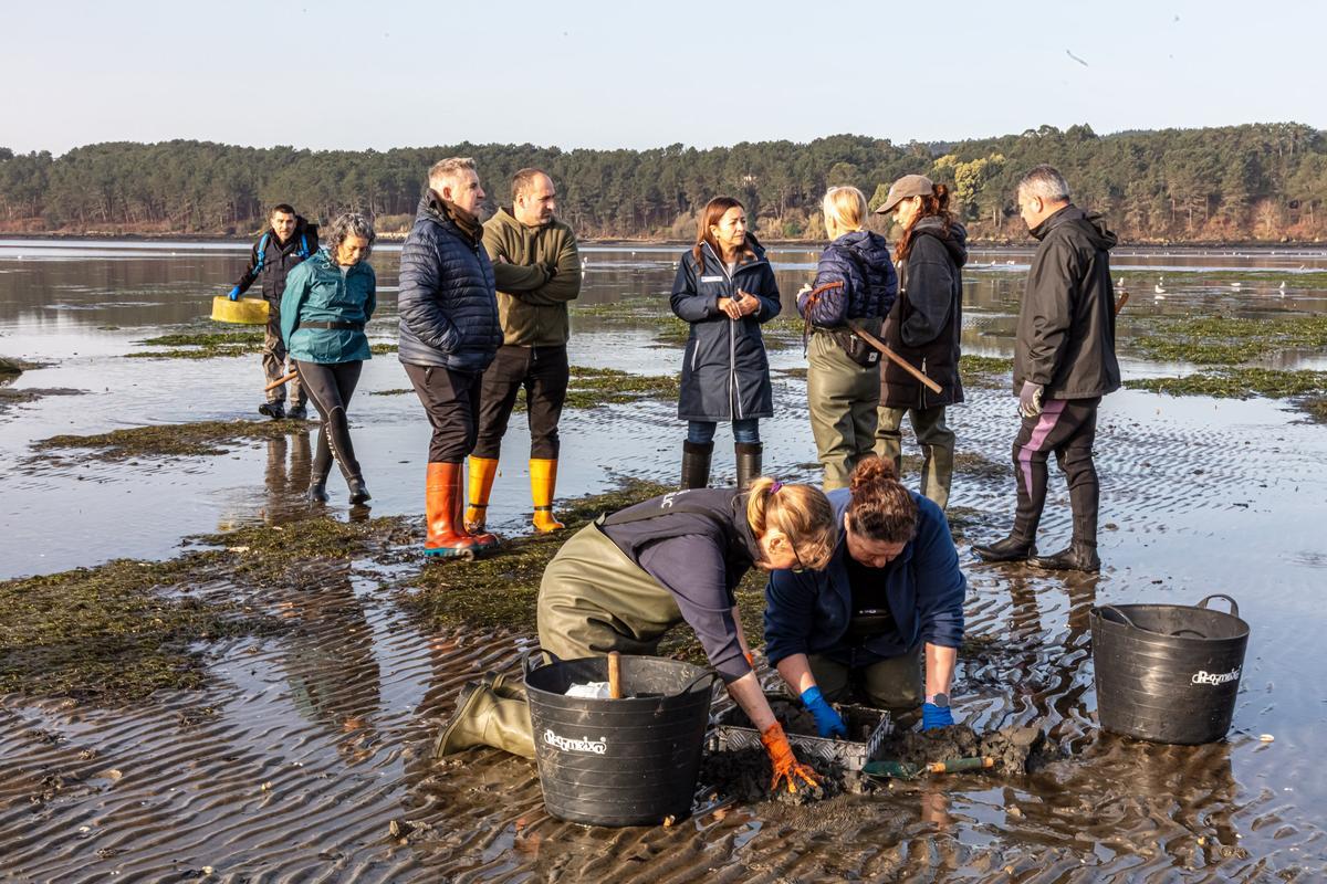 Marta Villaverde, centro, este martes supervisando los muestreos en el banco marisquero de Beluso, en Rianxo.