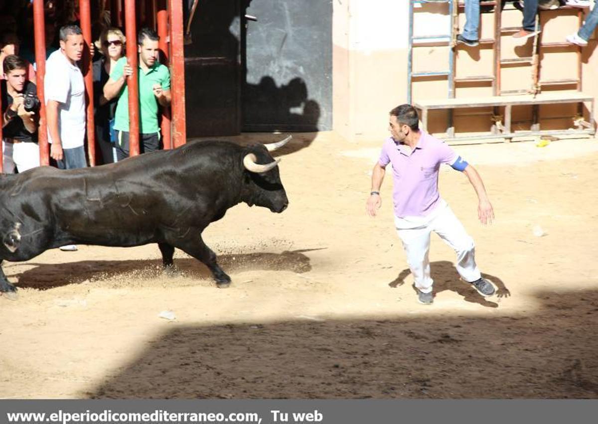 GALERÍA DE FOTOS -- Jornada dominical de Santa Quitèria en Almassora