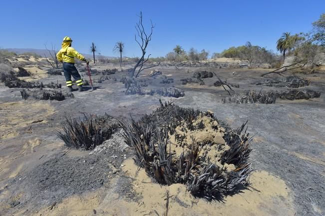 Incendio en la zona de las dunas de Maspalomas