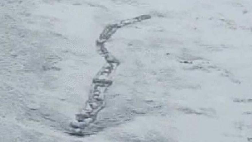 ¿El monstruo del Lago Ness islandés?