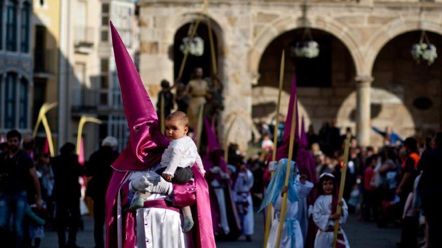 Semana Santa en Zamora: La Borriquita