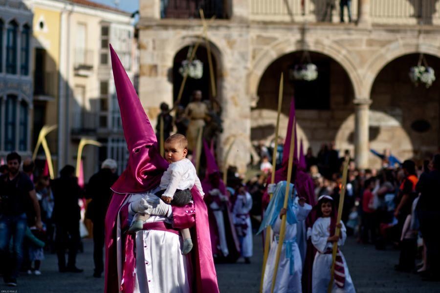 Semana Santa en Zamora: La Borriquita