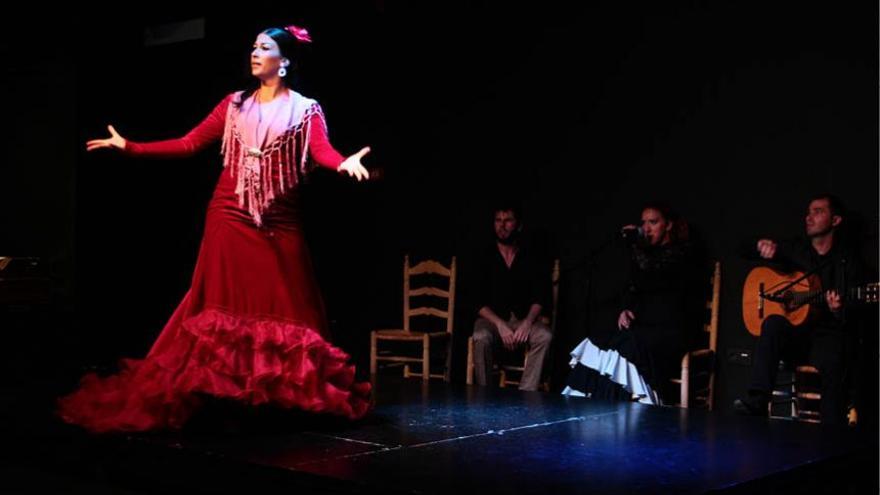 Jaleo: Flamenco show