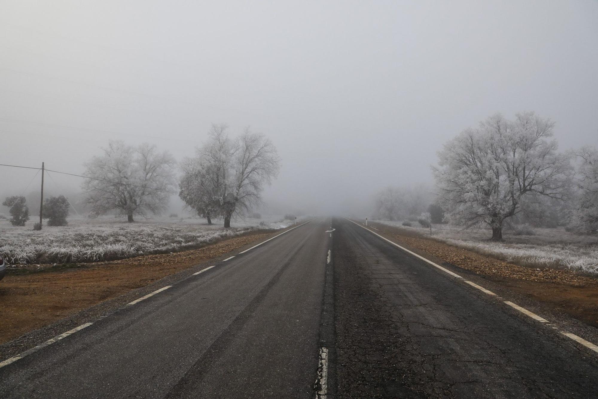 Paisajes de una Zamora escondida bajo la niebla