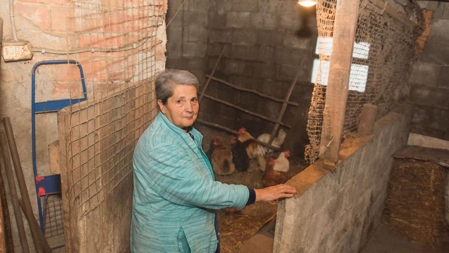 A veciña de Cerceda, Teresa Regueiro, coas súas galiñas. |  Casteleiro
