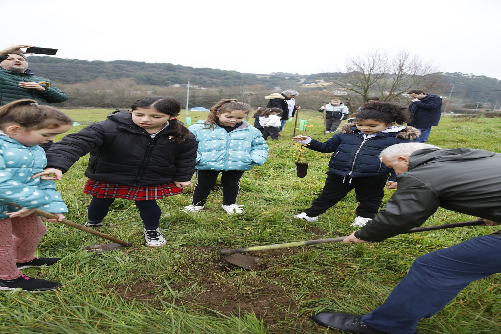 En imágenes: La alcaldesa de Gijón, en la plantación de árboles autóctonos en Somonte