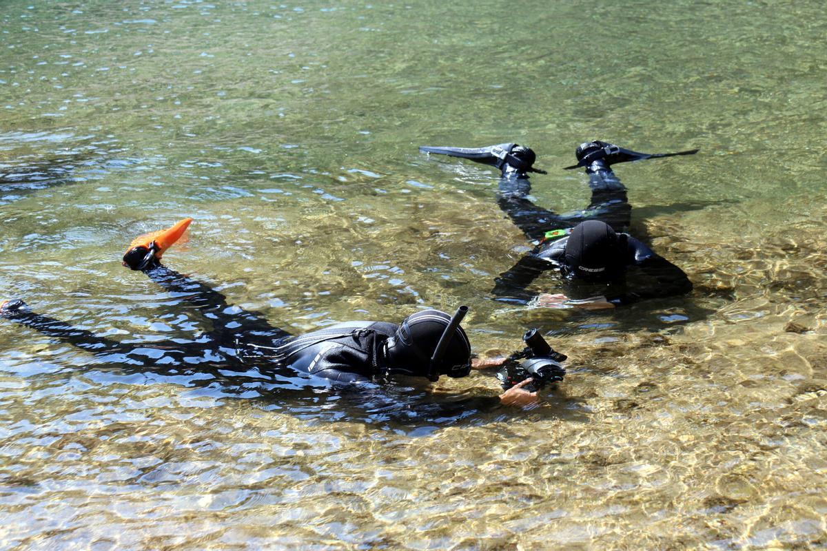 Dos dels submarinistes del CEAB inspeccionant les algues de la Cala Bona de Tossa de Mar