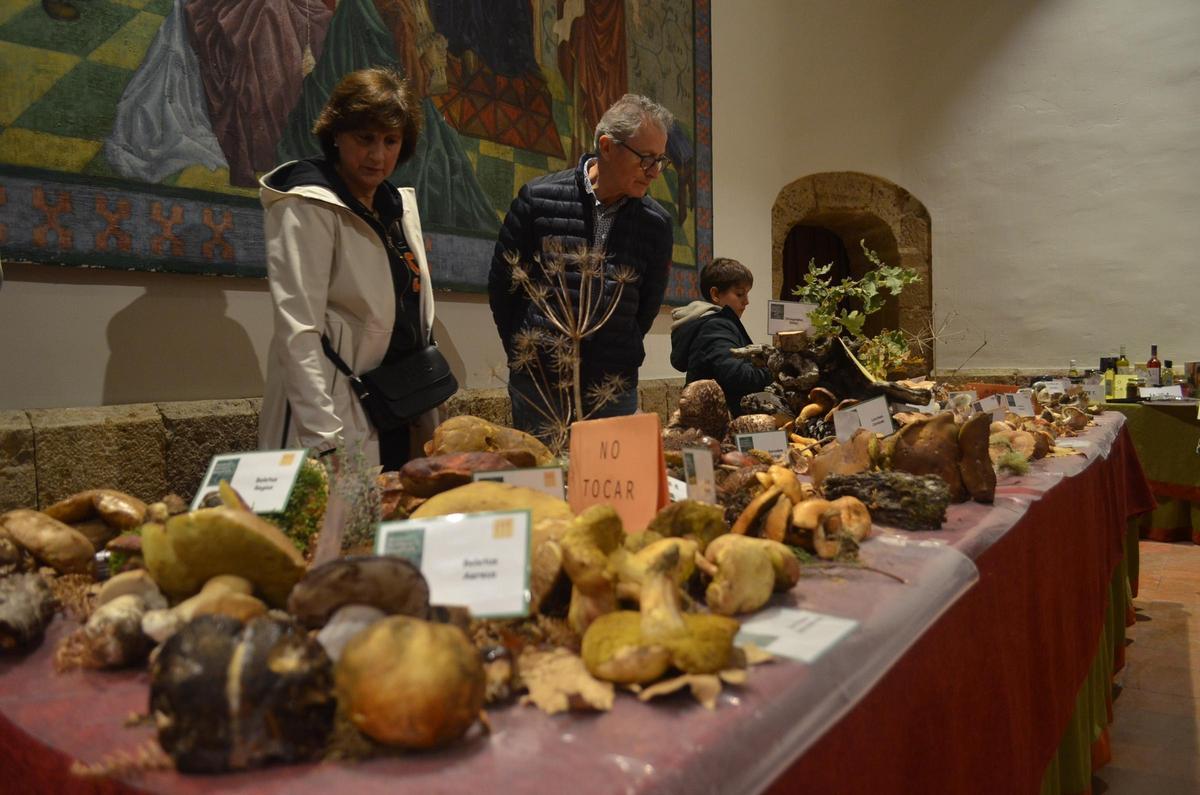 La Exposición Micológica de Benavente, en imágenes