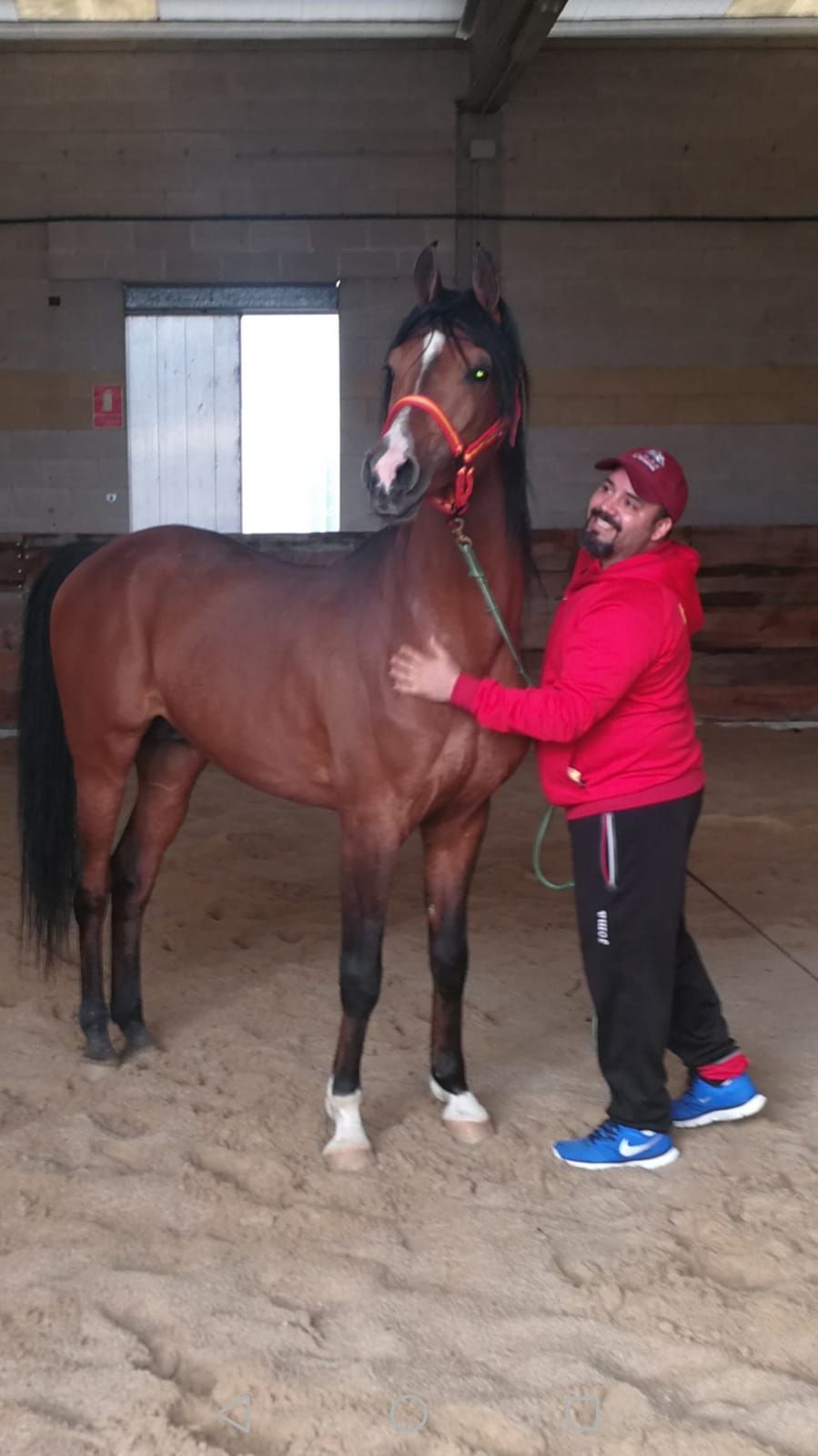 Javier Fernández Guerra con su caballo árabe Pawik el Marwan.