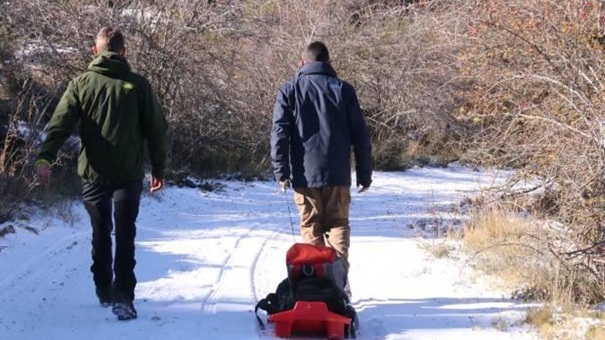 La nieve hizo ayer su aparición en la sierra de Aitana, en la zona de la Font de l&#039;Arbre.