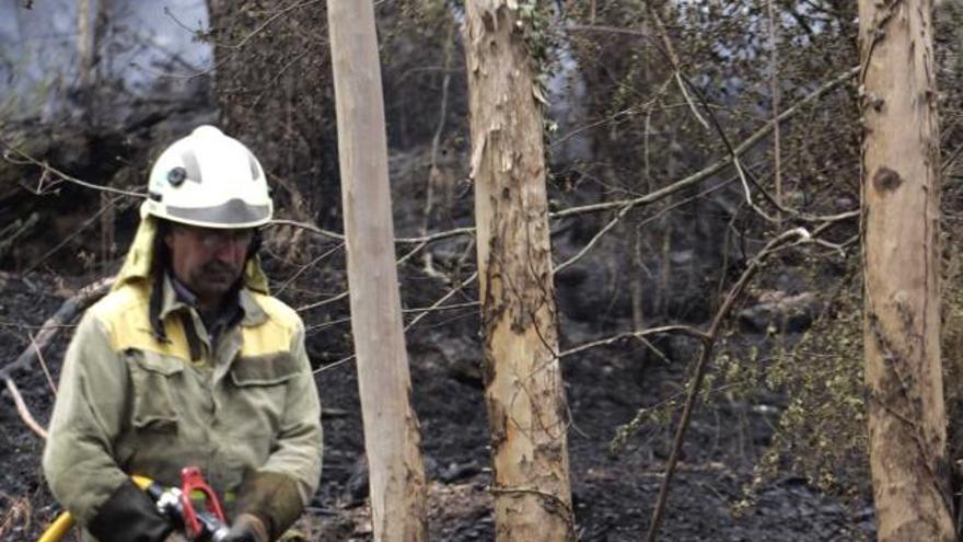 Un bombero enfría el terreno calcinado en Fragas del Eume.