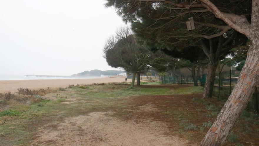 SOS Costa Brava celebra que Platja d'Aro denegués l'ampliació de la marina que preveia 300 pisos i un hotel