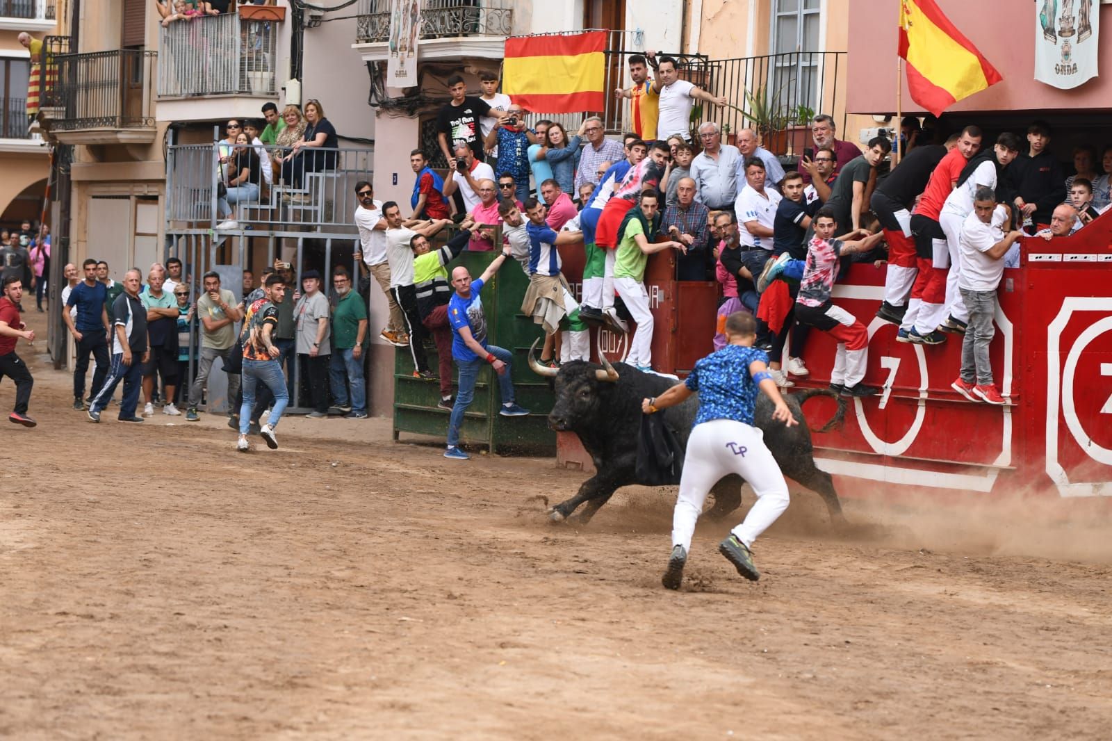 Exhibición de cuatro toros de Partida Resina en Onda