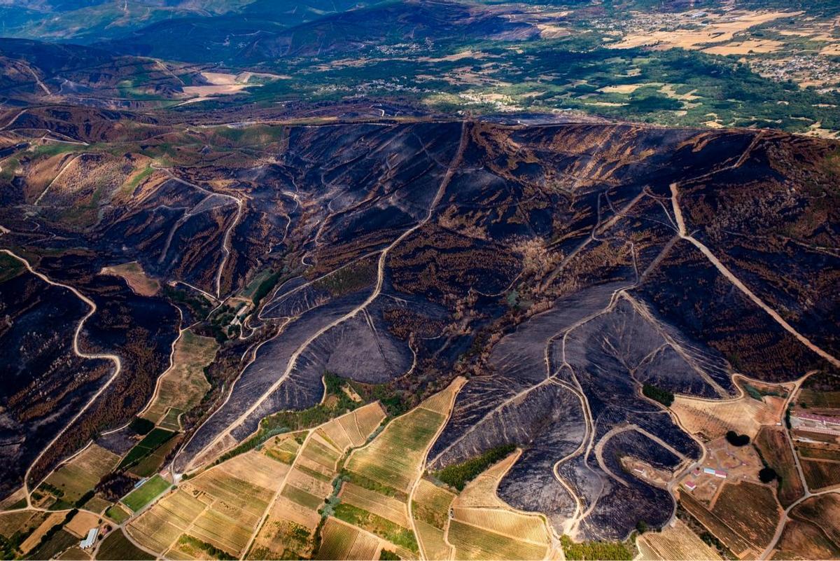 Explotaciones agrarias en la parroquia de Albarellos, en el concello de Monterrei. Zona afectada por el incendio de Oímbra
